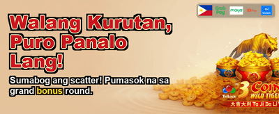 Experience Premium Online Gaming